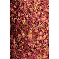 Juguete de madera relajante Grooming Deluxe Angustia Juguete de madera relajante Grooming Deluxe Angustia