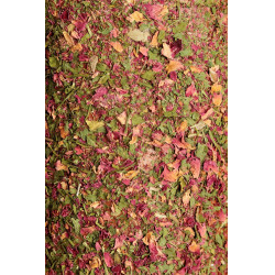 Juguete de madera relajante Grooming Deluxe con piedra de sal Vía respiratoria Juguete de madera relajante Grooming Deluxe con piedra de sal Vía respiratoria