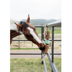 Juguete de madera relajante Grooming Deluxe con piedra de sal Vía respiratoria Juguete de madera relajante Grooming Deluxe con piedra de sal Vía respiratoria