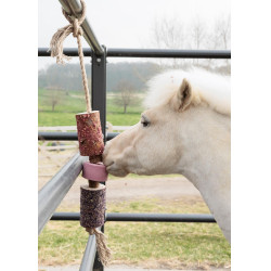 Juguete de madera relajante Grooming Deluxe con piedra de sal Juguete de madera relajante Grooming Deluxe con piedra de sal