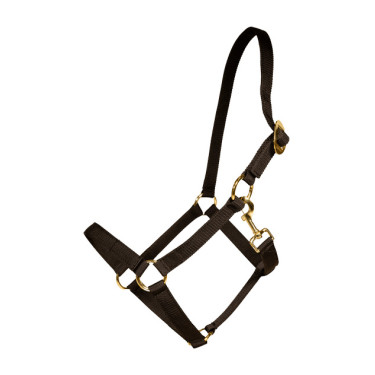 Cabezada de nailon Kentucky Negro