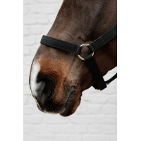 Cabezada de nailon Kentucky Negro Cabezada de nailon Kentucky Negro