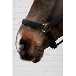 Cabezada de nailon Kentucky Negro