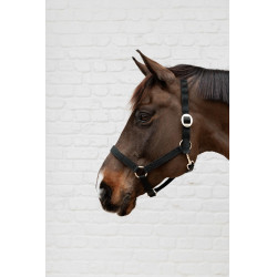 Cabezada de nailon Kentucky Negro