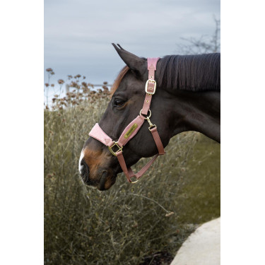 Cabezada de terciopelo con unicornio con purpurina Kentucky Cabezada de terciopelo con unicornio con purpurina Kentucky
