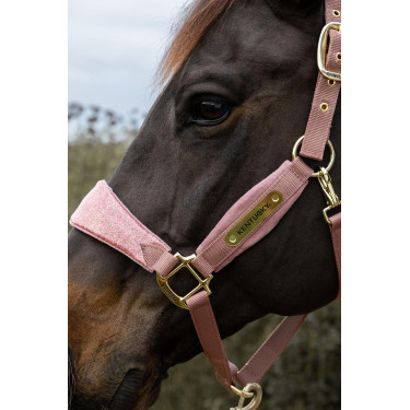 Cabezada de terciopelo con unicornio con purpurina Kentucky Cabezada de terciopelo con unicornio con purpurina Kentucky