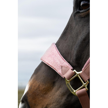 Cabezada de terciopelo con unicornio con purpurina Kentucky Cabezada de terciopelo con unicornio con purpurina Kentucky