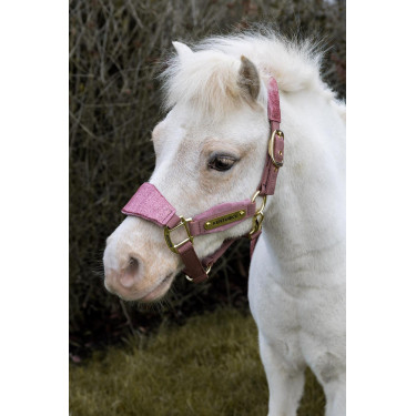 Cabezada de terciopelo con unicornio con purpurina Kentucky Rosa viejo