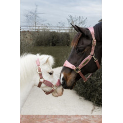 Cabezada de terciopelo con unicornio con purpurina Kentucky Rosa viejo