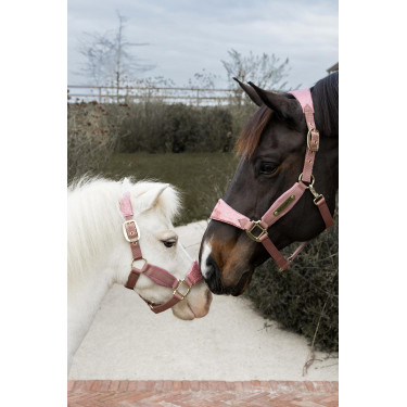 Cabezada de terciopelo con unicornio con purpurina Kentucky Rosa viejo