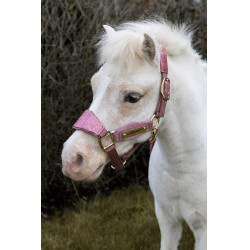 Cabezada de terciopelo con unicornio con purpurina Kentucky Rosa viejo