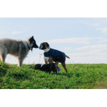 Cubreperro Equithème TYREX 600D Cubreperro Equithème TYREX 600D