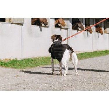 Capa para perro Equithème Softshell Capa para perro Equithème Softshell