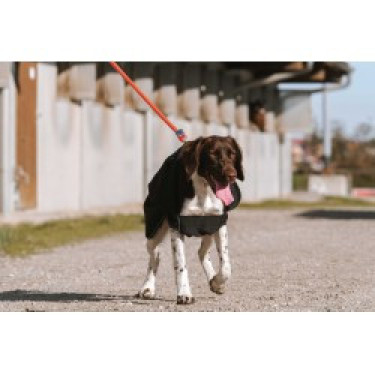 Capa para perro Equithème Softshell Capa para perro Equithème Softshell