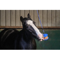 Dulces Likit Granola Light