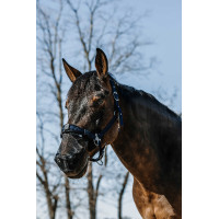 Protección nasal anti UV Equithème