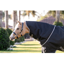 Manta Horseware Amigo 1200D Plus Poney Turnout 250g Negro / gris titanio / plata