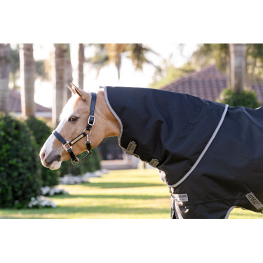 Manta Horseware Amigo 1200D Plus Poney Turnout 250g Negro / gris titanio / plata