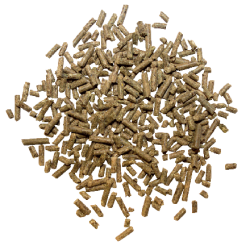 copy of Senior-Aktiv Marstall