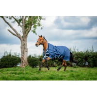 Manta Horseware Amigo 1200D Wug Turnout 150g Marino / gris titanio / plata Azul marino Manta Horseware Amigo 1200D Wug Turnout 150g Marino / gris titanio / plata Azul marino