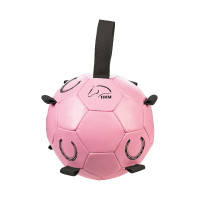 Pelota de juego HKM caballos Fun Rosa