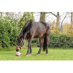 Pelota de juego HKM caballos Fun Pelota de juego HKM caballos Fun