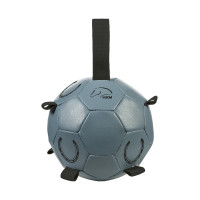 Pelota de juego HKM caballos Fun Rosa