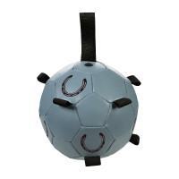 Pelota de juego HKM caballos Fun Gris azulado