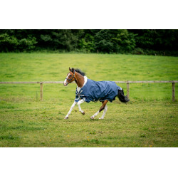 Manta Horseware Amigo 1200D XL Turnout 50g Marino / gris titanio / plata Azul marino Manta Horseware Amigo 1200D XL Turnout 50g Marino / gris titanio / plata Azul marino