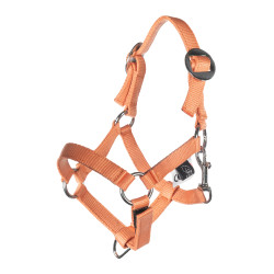 Cabezada y ramal HKM Hobby Horsing Basic Cabezada y ramal HKM Hobby Horsing Basic