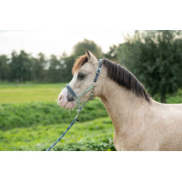 Cabezada HKM Barnie Azul humo / rosa