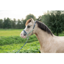 Cabezada HKM Barnie Verde claro / verde oscuro