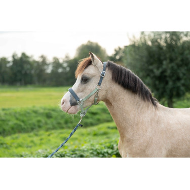 Cabezada HKM Barnie Verde claro / verde oscuro