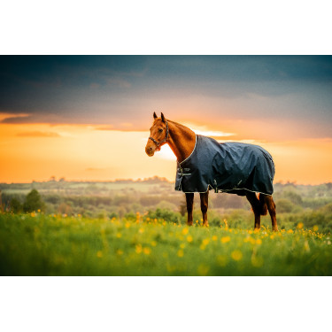 Manta Horseware Amigo Ripstop 900D Poney Turnout 100g Marine witney Azul marino