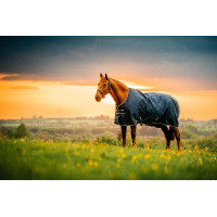 Manta Horseware Amigo Ripstop 900D Poney Turnout 200g Marine witney Azul marino