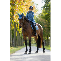 Chaqueta HKM Ohio Gris azulado