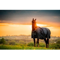 Manta Horseware Amigo Ripstop 900D Turnout 100g Marine witney Azul marino Manta Horseware Amigo Ripstop 900D Turnout 100g Marine witney Azul marino