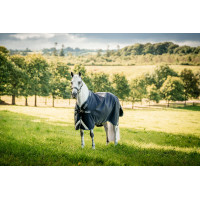 Manta Horseware Rambo 1680D Turnout 100g Marino / tormenta / gris plateado Azul marino Manta Horseware Rambo 1680D Turnout 100g Marino / tormenta / gris plateado Azul marino