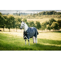 Manta Horseware Rambo 1680D Turnout 100g Marino / tormenta / gris plateado Azul marino Manta Horseware Rambo 1680D Turnout 100g Marino / tormenta / gris plateado Azul marino