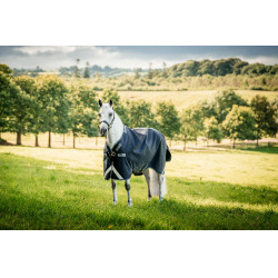 Manta Horseware Rambo 1680D Turnout 250g VL Marino / tormenta / gris plateado Azul marino Manta Horseware Rambo 1680D Turnout 250g VL Marino / tormenta / gris plateado Azul marino