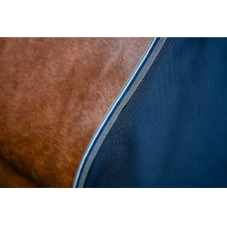 Manta Horseware Rambo 1680D Turnout 250g VL Marino / tormenta / gris plateado Azul marino Manta Horseware Rambo 1680D Turnout 250g VL Marino / tormenta / gris plateado Azul marino