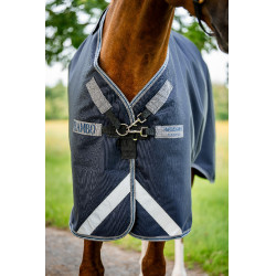 Manta Horseware Rambo 1680D Turnout 250g VL Marino / tormenta / gris plateado Azul marino Manta Horseware Rambo 1680D Turnout 250g VL Marino / tormenta / gris plateado Azul marino