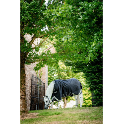 Manta Horseware Rambo 1680D Turnout 250g VL Negro / tormenta / gris plateado