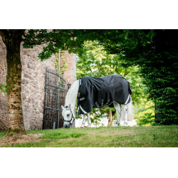 Manta Horseware Rambo 1680D Turnout 450g VL Negro / tormenta / gris plateado Manta Horseware Rambo 1680D Turnout 450g VL Negro / tormenta / gris plateado