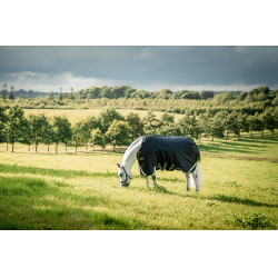 Manta Horseware Rambo 1680D Turnout 50g Negro / tormenta / gris plateado
