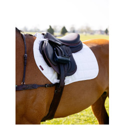 new Blanco new Blanco