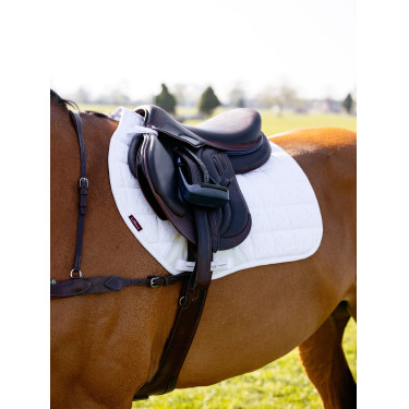 new Blanco new Blanco