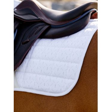 new Blanco new Blanco