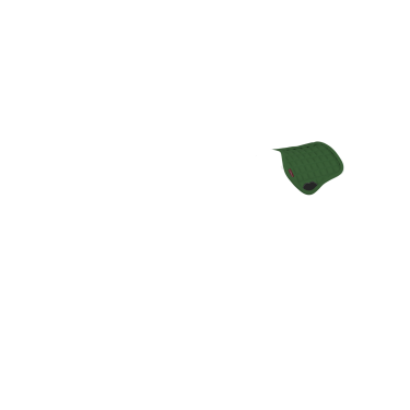 new Verde hunter new Verde hunter