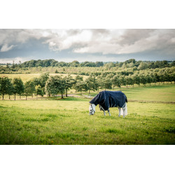 Manta Horseware Rambo 1680D Turnout Plus 100g Marino / tormenta / gris plateado Azul marino Manta Horseware Rambo 1680D Turnout Plus 100g Marino / tormenta / gris plateado Azul marino